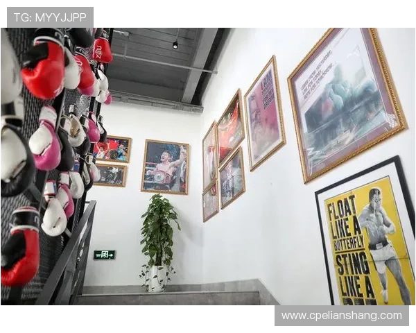 深圳排球队阵地战革新探索新战术提升竞技水平的全新尝试