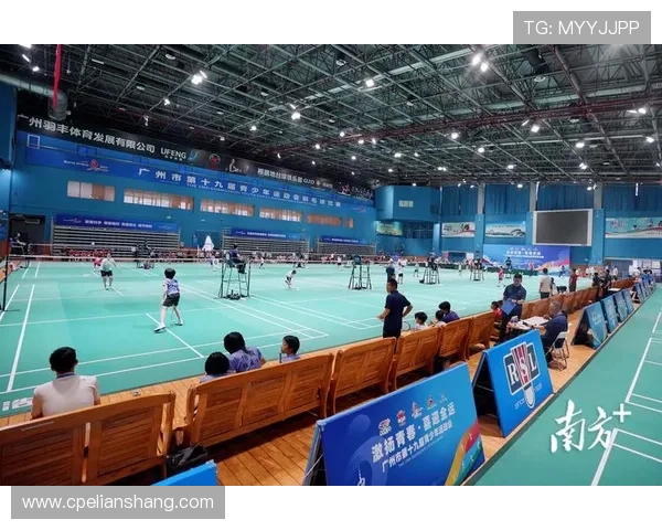 王丽专访：从羽毛球新星到冠军背后的奋斗与成长故事